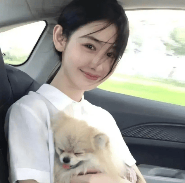 搞笑段子，笑死人不偿命，猫咪的策略，关于鱼的梦