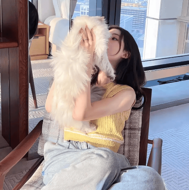 搞笑段子，笑死人不偿命，猫咪的策略，关于鱼的梦