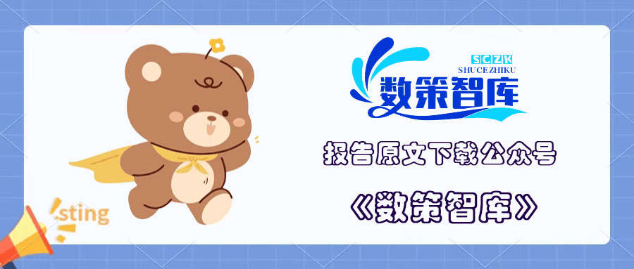 数据交易场所发展指数研究报告（2024年）
