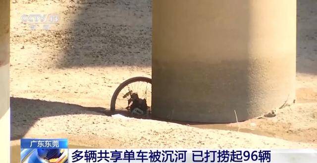 已捞起96辆！东莞共享单车被破坏沉河，捞一辆需要6个人，律师提醒