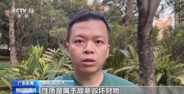 已捞起96辆！东莞共享单车被破坏沉河，捞一辆需要6个人，律师提醒
