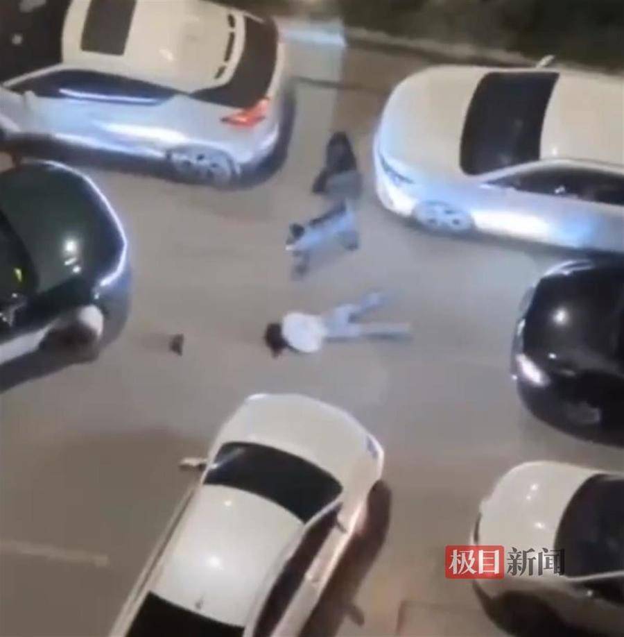 热闻|母女公园散步遭四条大型犬撕咬！家属：狗主人以没钱为由，至今未露面，治疗费用也未偿清