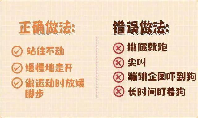 热闻|母女公园散步遭四条大型犬撕咬！家属：狗主人以没钱为由，至今未露面，治疗费用也未偿清