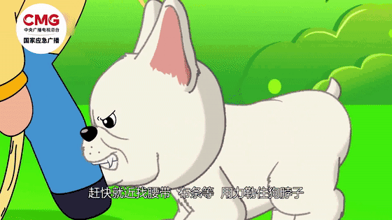 热闻|母女公园散步遭四条大型犬撕咬！家属：狗主人以没钱为由，至今未露面，治疗费用也未偿清