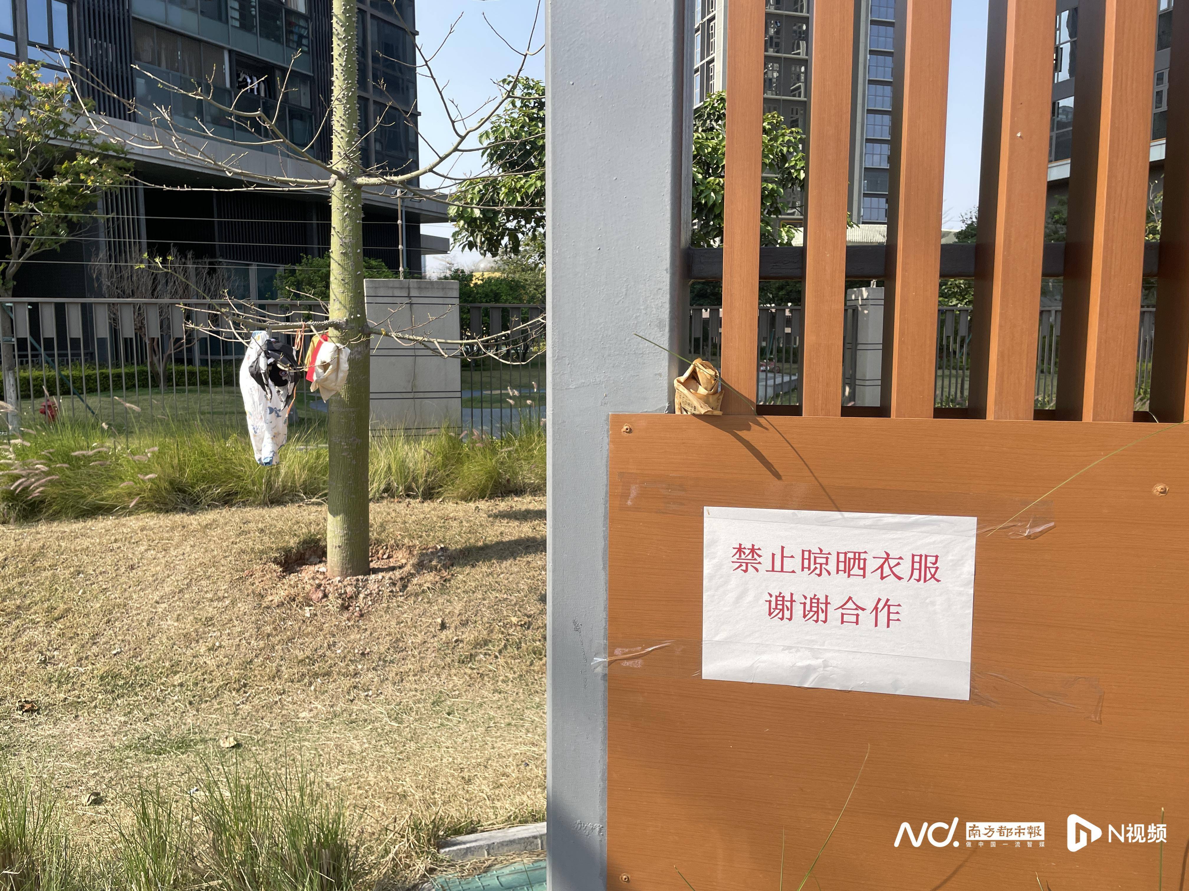 暗访广州口袋公园：草坪秃了设施失修，“最美公园”垃圾堆积