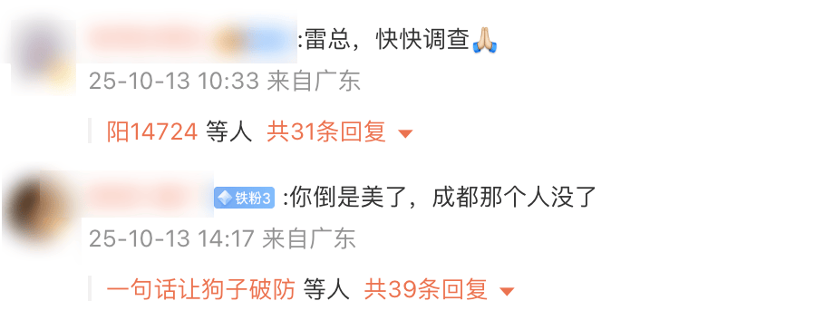 「直男魅魔」雷军，不灵了？