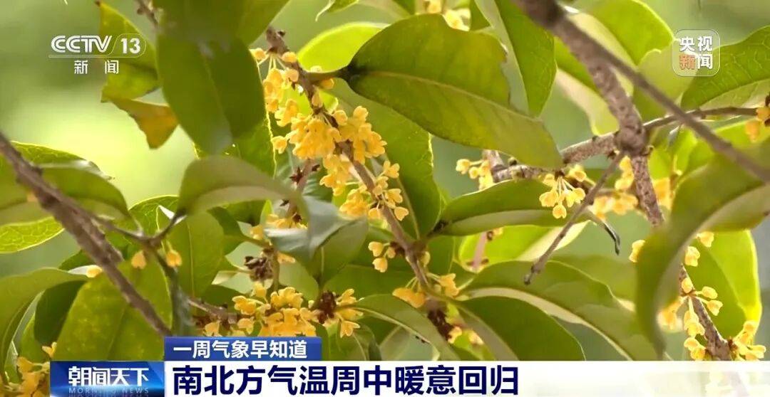 暴雪大雪暴雨要来了