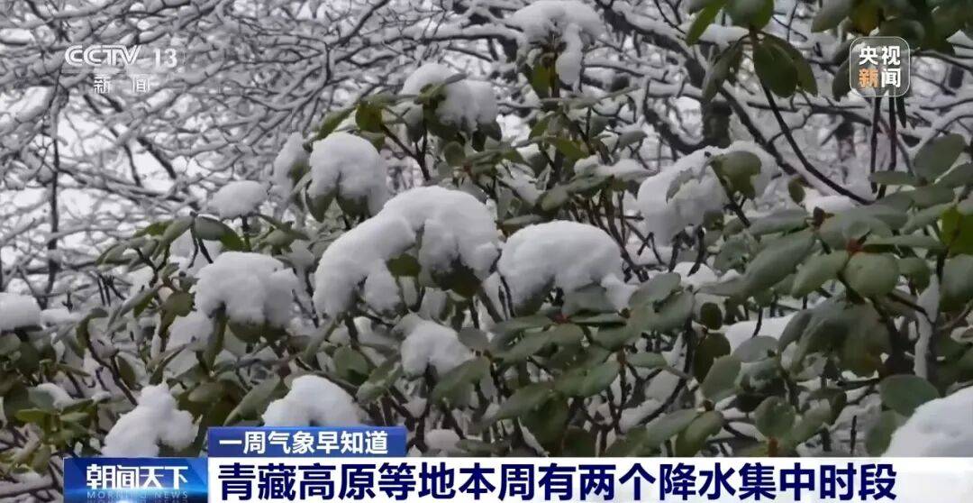 暴雪大雪暴雨要来了
