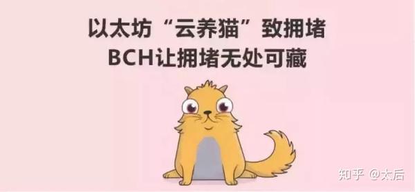 区块链养猫(区块链养猫系统)