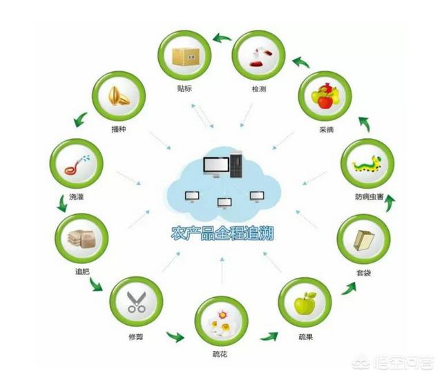 区块链农业(区块链农业保险)