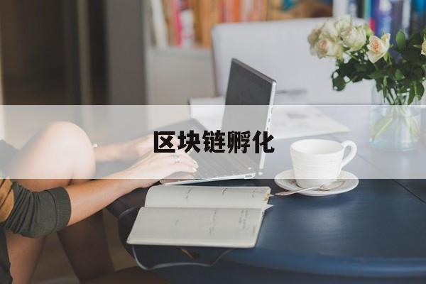 区块链孵化(区块链孵化效果)